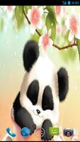 3 Schermata Panda Wallpapers