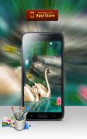 Swan Wallpapers ポスター