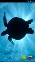 Turtle Wallpapers स्क्रीनशॉट 3