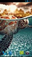 Turtle Wallpapers स्क्रीनशॉट 1