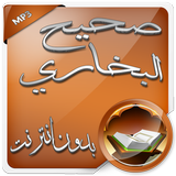 صحيح البخاري صوت بدون نت icon