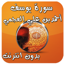 سورة يوسف بدون انترنت - العجمي APK