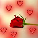 Rosas de Amor APK