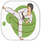 Okinawan karate icon