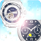 Best Bulova watches icône