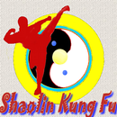 Kung Fu / Shaolin APK