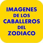 Imagenes Caballeros de Zodiaco ไอคอน