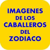 Imagenes Caballeros de Zodiaco icon
