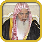 Ali Al Huthaify Quran  Audio icône