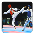 Taekwondo APK