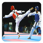 Taekwondo icône