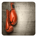 Boxing APK