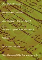 Al-Quran Nasser Al Qatami MP3 capture d'écran 3