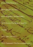 Al-Quran Nasser Al Qatami MP3 تصوير الشاشة 3