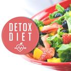 Detox Recipes icône