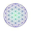 The Flower of Life APK