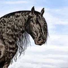 Horses APK download