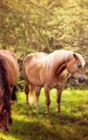 Horses স্ক্রিনশট 3