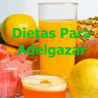 Dietas Para Adelgazar आइकन