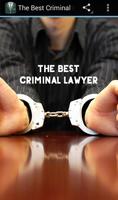 The Best Criminal Lawyer Affiche