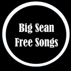 Big Sean Best Collections-icoon