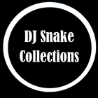 DJ Snake Best Collections icône