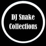 DJ Snake Best Collections icon