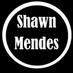 Shawn Mendes Best Collections