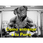 Como Entrenar a Tu Perro icône