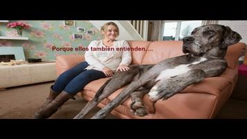 برنامه‌نما Como Entrenar a Tu Perro عکس از صفحه