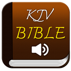 Audio Bible KJV Offline icône