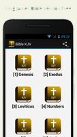 Audio Bible KJV Offline capture d'écran 1