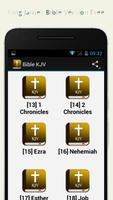 Audio Bible KJV Offline capture d'écran 2