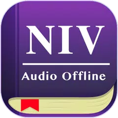 Audio Bible NIV Offline