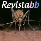 Virus Zika En Chile icône