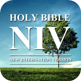 Audio Bible NIV icône