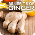 Uses & Benefits of Ginger Root आइकन