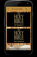 NIV Audio Bible for Free poster