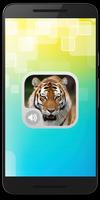 Tiger Sounds MP3 Affiche
