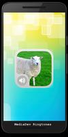 Poster Sheep Sounds HD