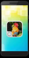 Rooster Alarm Sounds Affiche