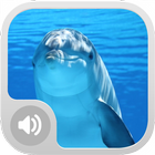 Real Dolphin Sounds أيقونة