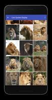 Lion Quotes Display Pictures تصوير الشاشة 3