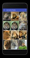 Lion Quotes Display Pictures تصوير الشاشة 1