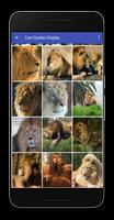 برنامه‌نما Lion Quotes Display Pictures عکس از صفحه