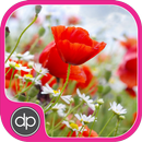 Summer Flowers Quotes Display-APK