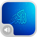 Allah Akbar Islamic Ringtones! APK