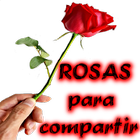 Rosas hermosas para compartir আইকন