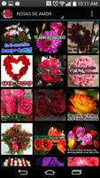 Rosas hermosas para compartir capture d'écran 1