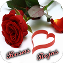 Rosas Rojas APK